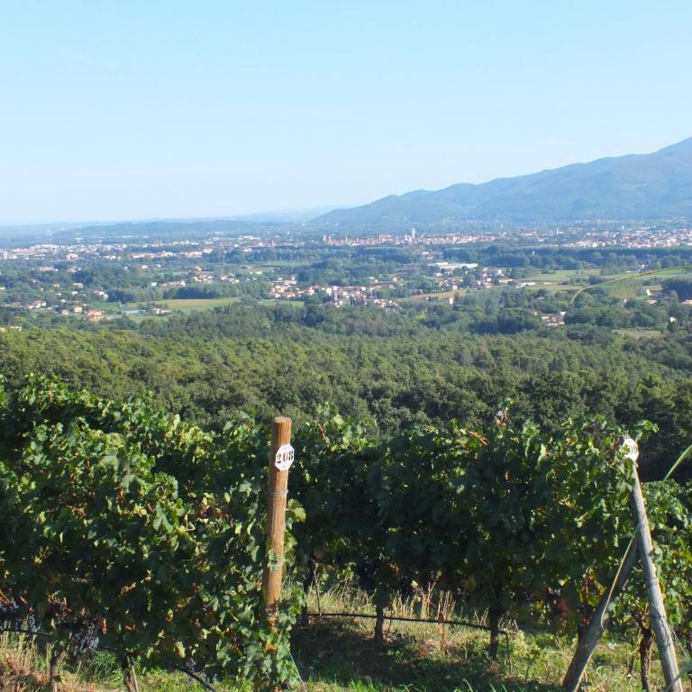 Villa Casetta - Villa con Piscina Privata - 18