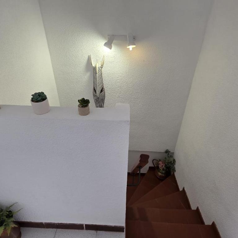 Regata Playa - Apartamento de 2 dormitorios - 8