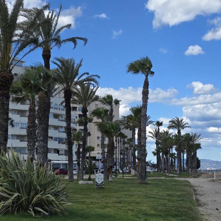 Regata Playa - Apartamento de 2 dormitorios - 26