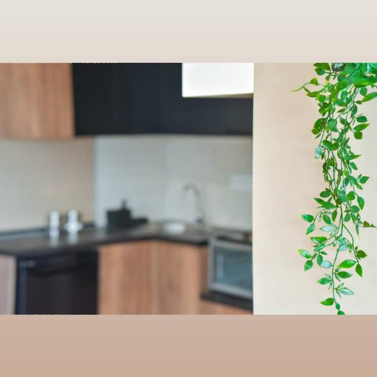Apartman Kutak - One-Bedroom Apartment - 14