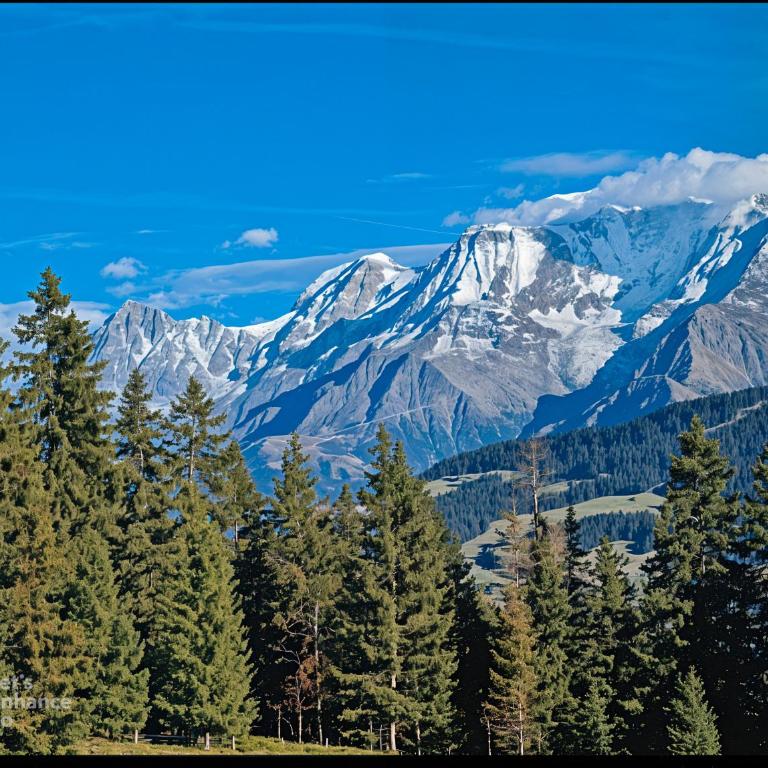 Ecrin cosy, calme, terrasse, nature et MontBlanc - Studio - 37