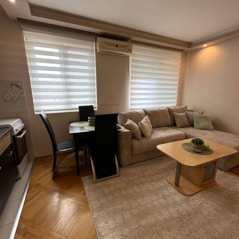 Stan u centru Niša - Apartman sa 1 Spavaćom Sobom - 4