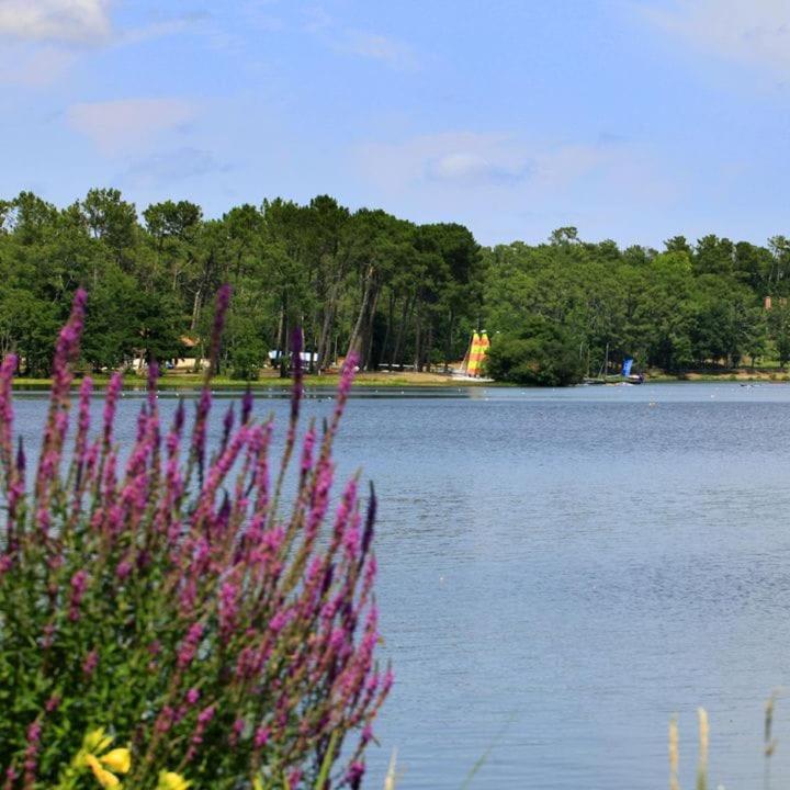 Villa Zerua & Spa - Villa - 60