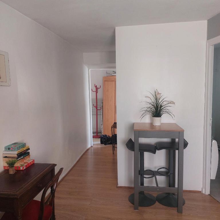 Centre historique à 2 pas du musée RIGAUD - One-Bedroom Apartment - 9