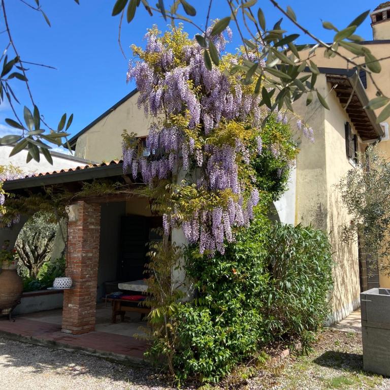 Country Home CA' ISIDORA - Casa con 3 Camere da Letto - 7