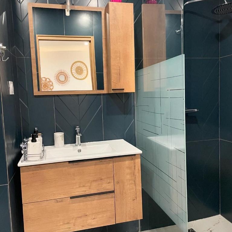 Appartement T2 proche de la gare - One-Bedroom Apartment - 5