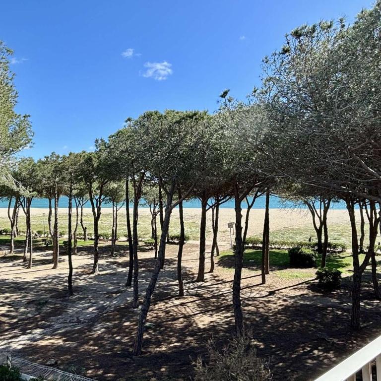 Appartement deux pièces- Argelès sur Mer AR630-021 - Appartamento - 5
