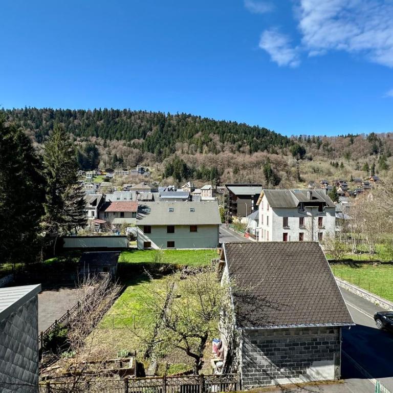 Le Pan de la Grange, Le Mont-Dore 5pers - Apartamento de 2 dormitorios - 17