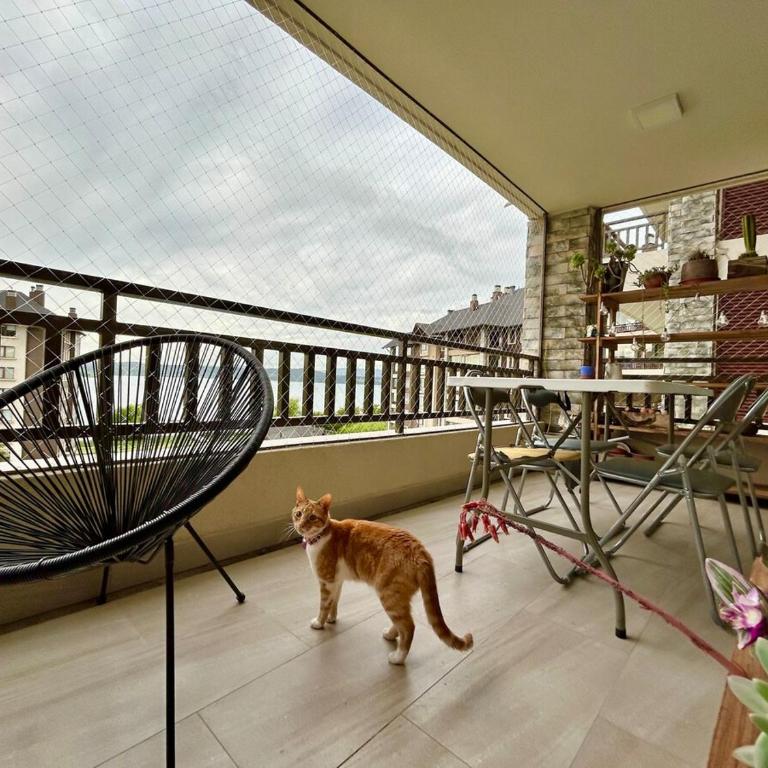 Hermoso departamento frente al lago Villarrica - Apartamento de 2 dormitorios - 10