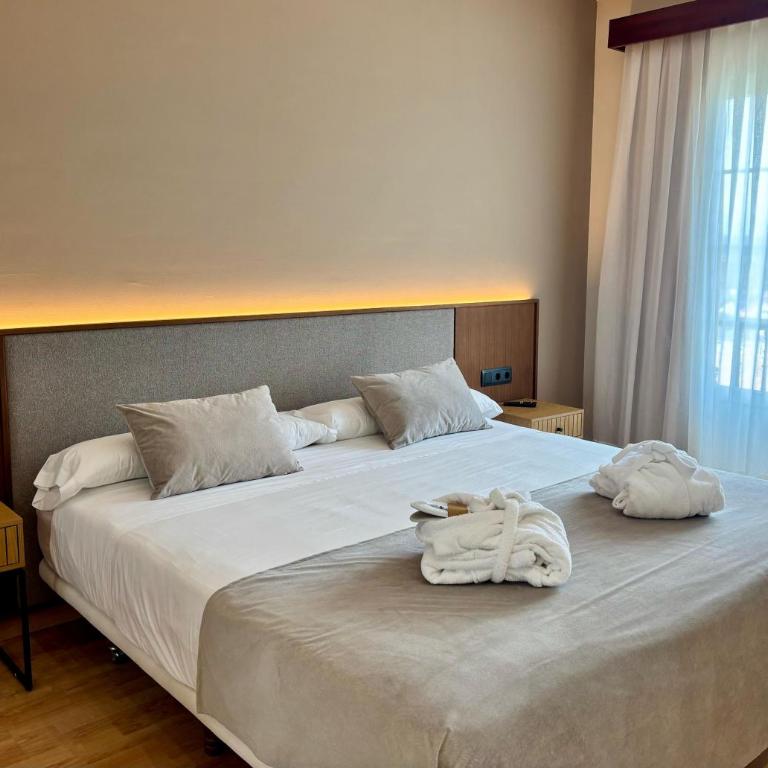 ARVA Santiago León - Suite - 7
