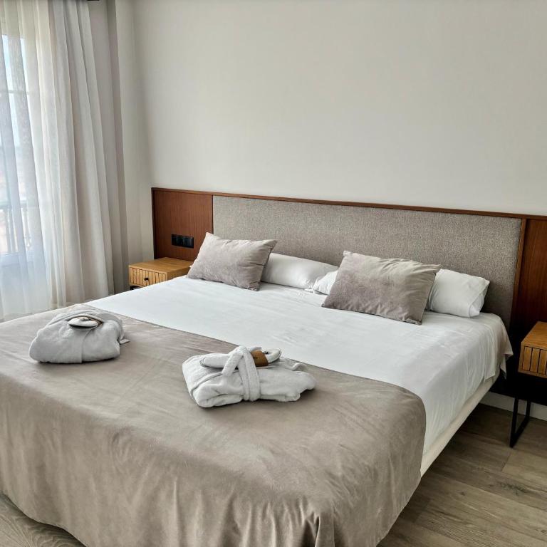 ARVA Santiago León - Suite - 11