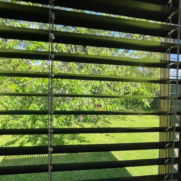 Greenkub Serenity - Maison 1 Chambre - 17