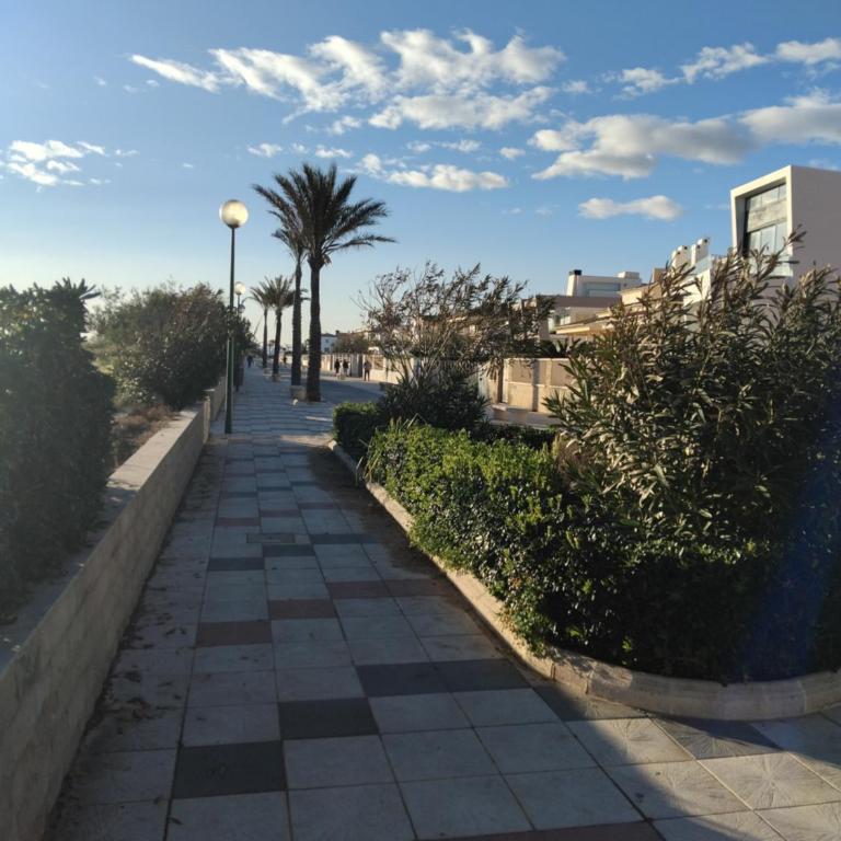 Casa Aigua Blanca Oliva - Casa de 2 dormitorios - 25