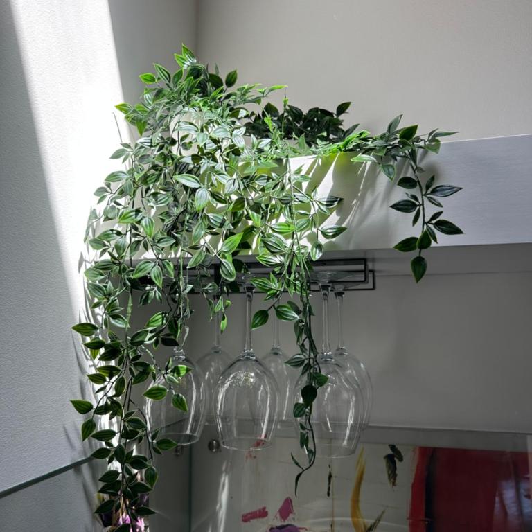 La Gatta sul tetto - Two-Bedroom Apartment - 90