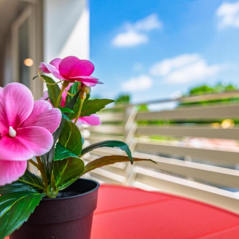 LTApartments 2- Monolocale con parking a 10 minuti dalla Torre - Appartamento con 1 Camera da Letto - 21