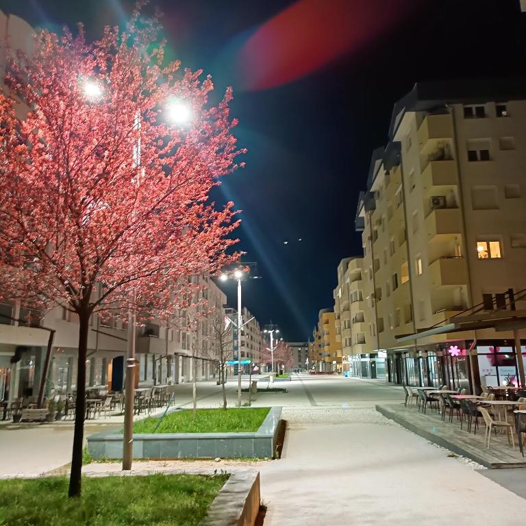Ellena apartment - Apartman sa 1 Spavaćom Sobom - 44