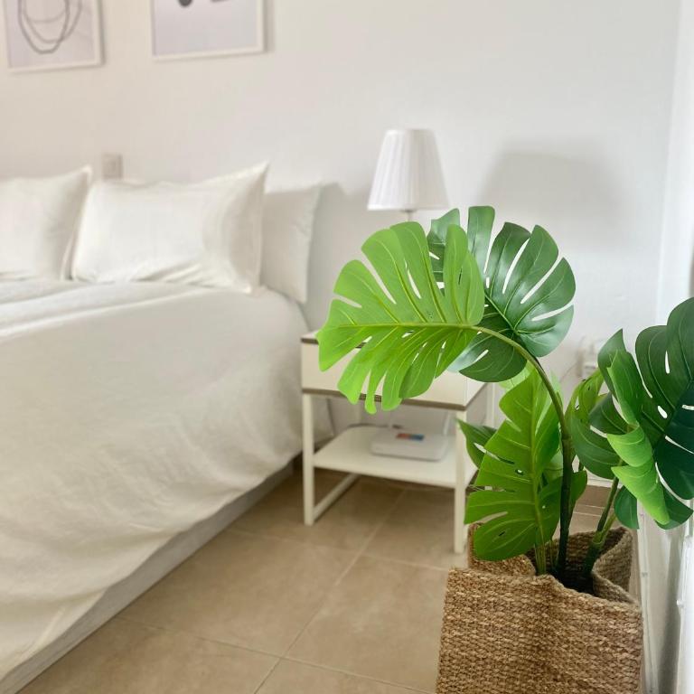 520 Estudio en Minerva Vista al Jardín - Playa a 700 metros - Apartamento Estudio - 4