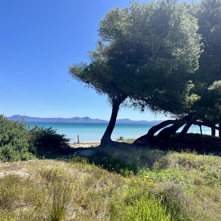 Villa Laura en Alcudia by Mallorca Infinity - Casa de 5 dormitorios - 25