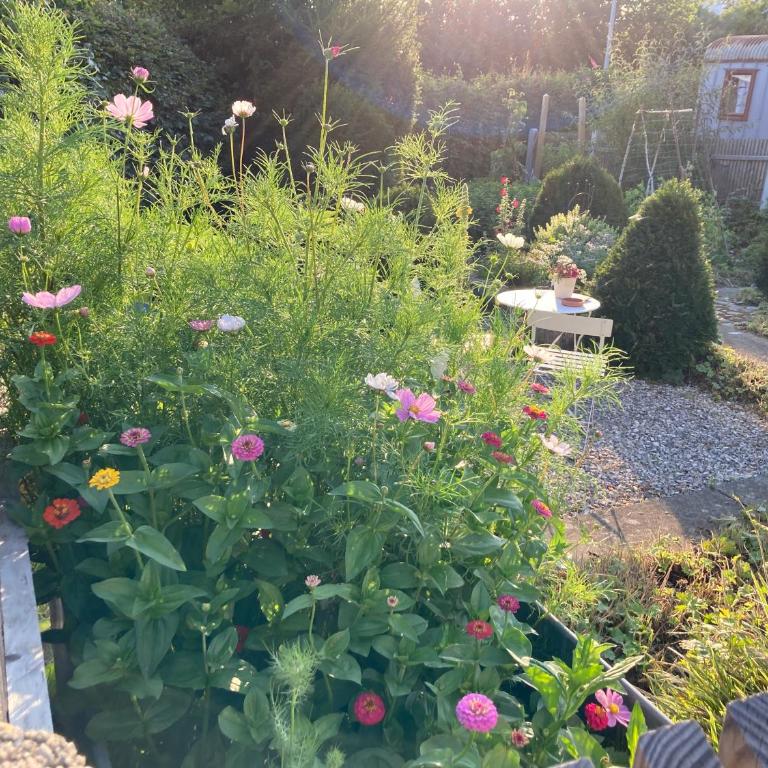 Bei uns im Allgäu - Gästewagen Hoimelig mit Warmwasser-Außendusche - Apartment - 20
