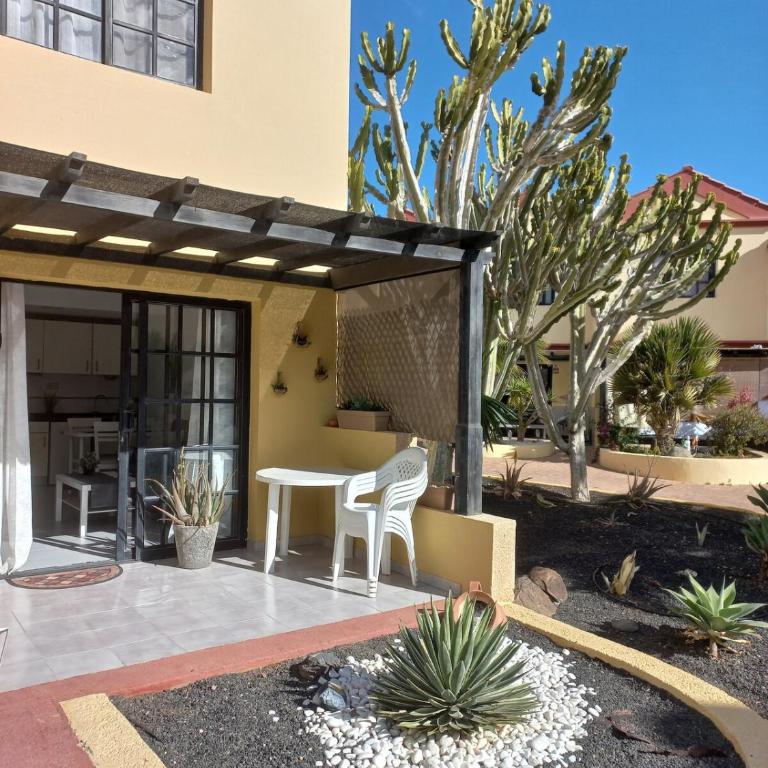 Bungalow Aloe Top Apartment in Costa Calma - Apartamento de 1 dormitorio - 14