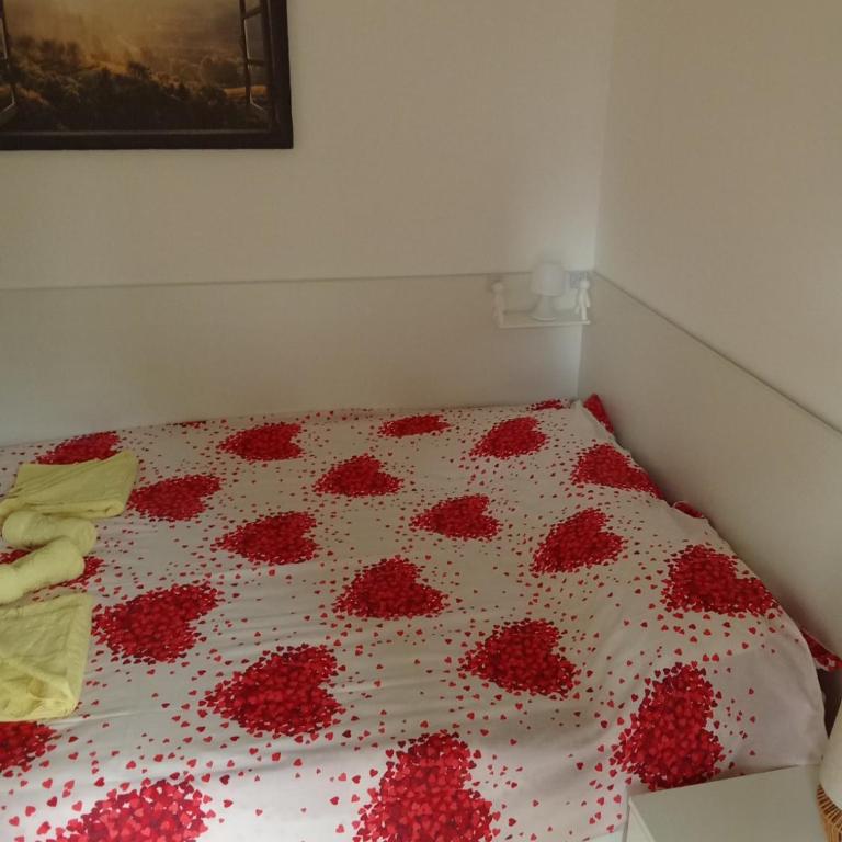 Banjski Raj - Apartman sa 1 Spavaćom Sobom - 9