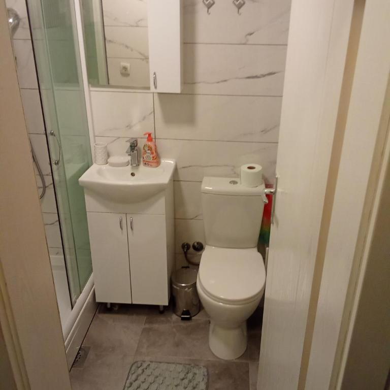 Banjski Raj - Apartman sa 1 Spavaćom Sobom - 15
