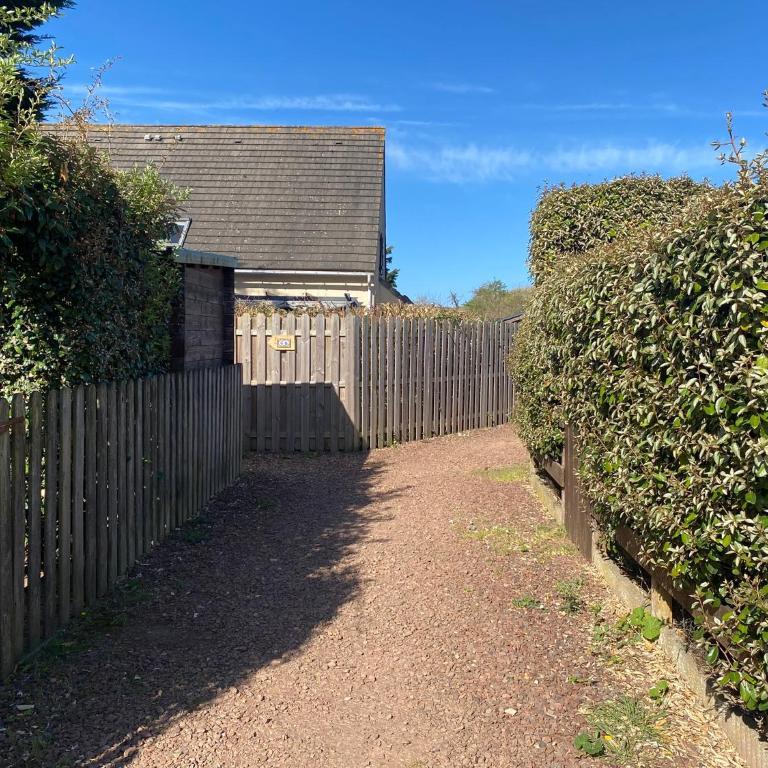 Cottage au calme dans les dunes - Maison de Vacances - 18