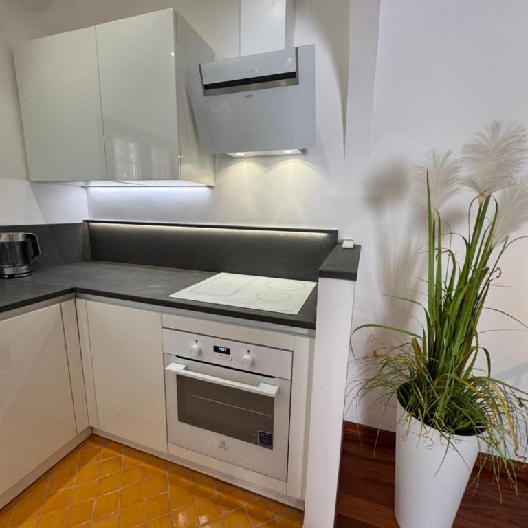Domus Colosseum, detached house just few steps from the Colosseum - Chalet con 1 Camera da Letto - 23