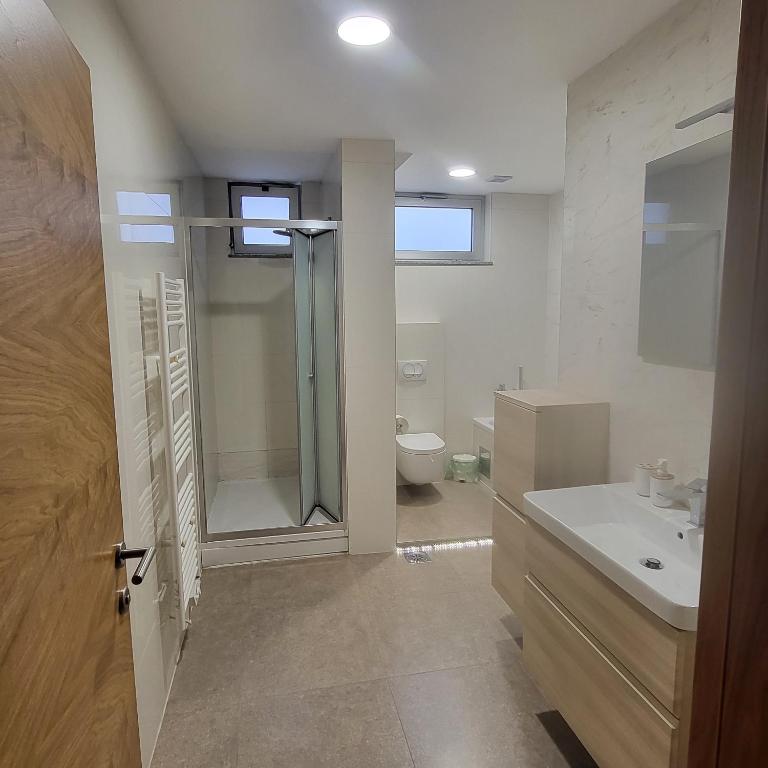 APARTMAN CENTAR BULEVAR EX sa GARAZOM - Apartman - 15