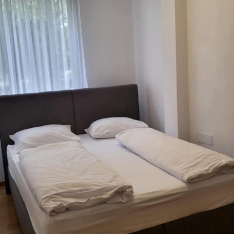 APARTMAN CENTAR BULEVAR EX sa GARAZOM - Apartman - 11