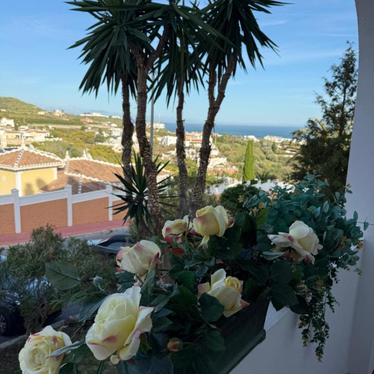 Apartamento Florkin vacacional acogedor recién reformado con vistas al mar - Apartamento con vistas al mar - 30