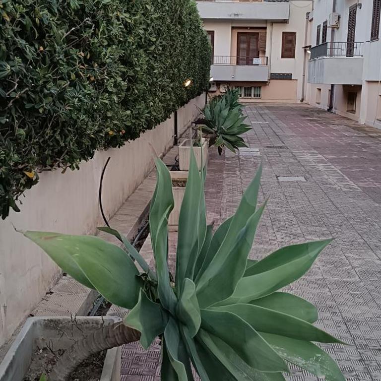 Casa A Pupidda vicino al mare - Appartamento con 1 Camera da Letto - 30