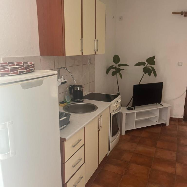 Apartmani Zelenika - Standard Villa - 2