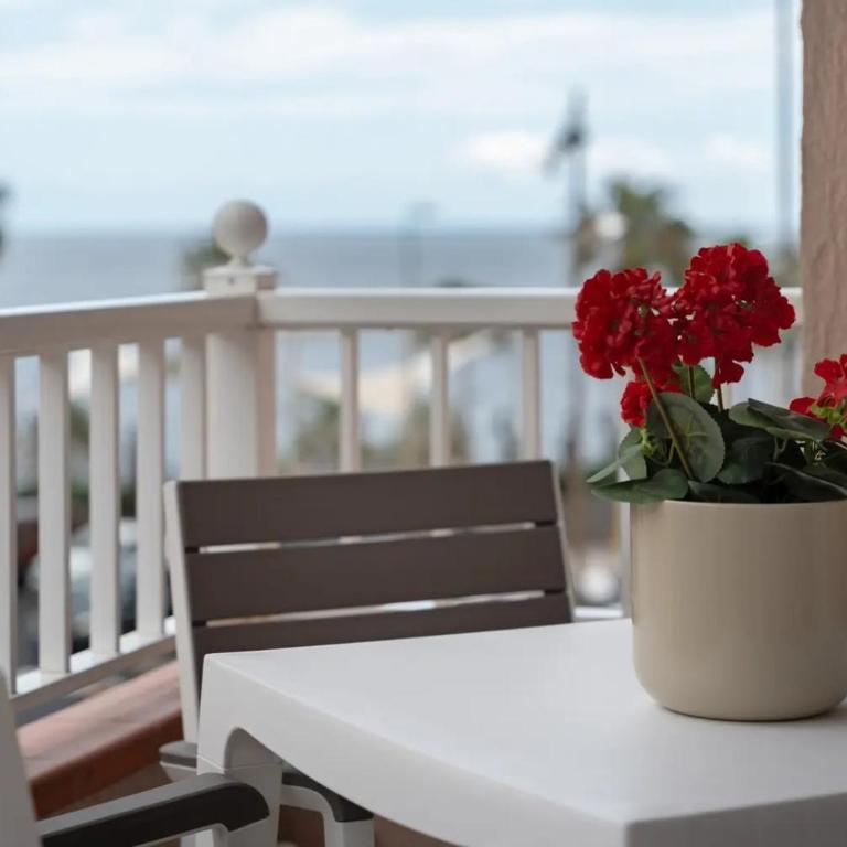 Apartamento Bonjour - Apartamento de 2 dormitorios - 1