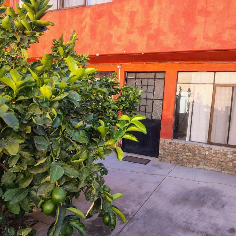 EL LIMÓN departamento - Apartamento de 2 dormitorios - 5