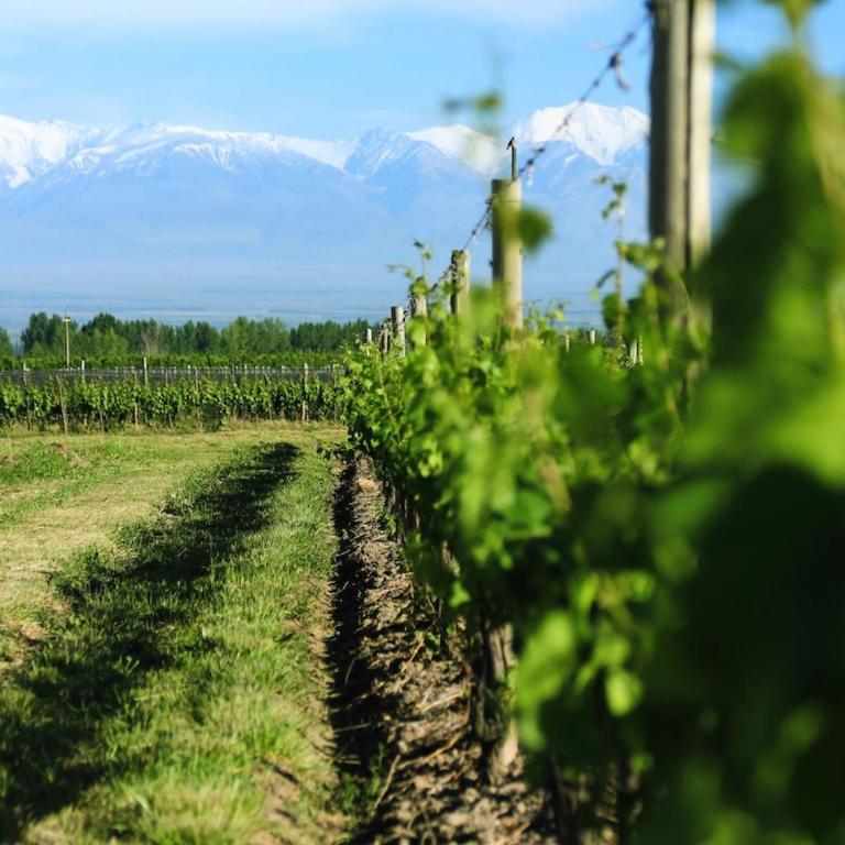 Casa de Campo Cottage La Calma - Uco Valley - Chalet de 3 dormitorios - 35