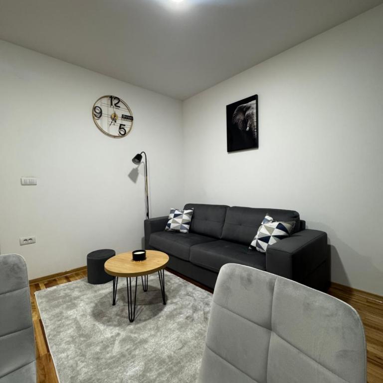 Apartman Petrović - Apartman sa 1 Spavaćom Sobom - 11