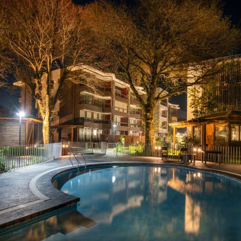 Departamento en Pucón con terraza y jardín privado - Apartamento de 1 dormitorio - 32