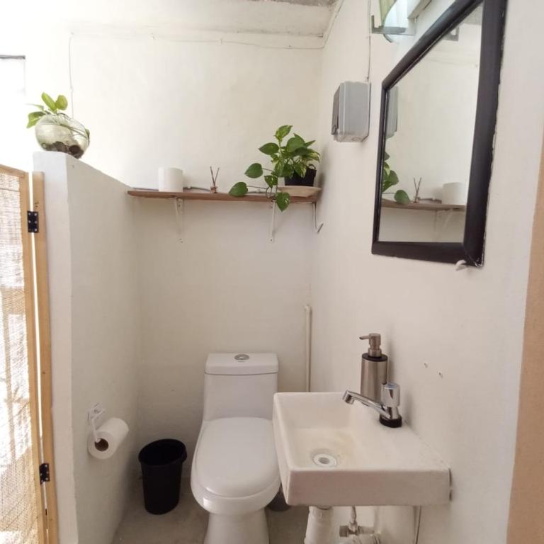 Casa Ha Hostal - One-Bedroom Apartment - 1