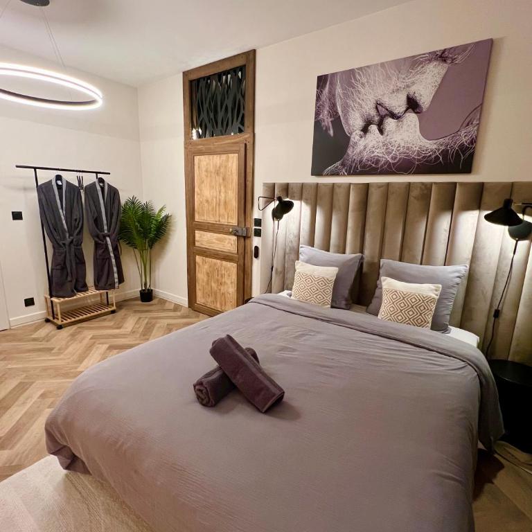 Spa et Sauna Luxueux Hyper centre avec climatisation Parking gratuit - Appartement 2 Chambres - 14