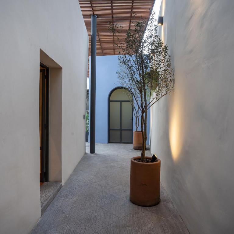 Casona del Buen Huerto, Modern 2BR Home in Queretaro - Two-Bedroom House - 17