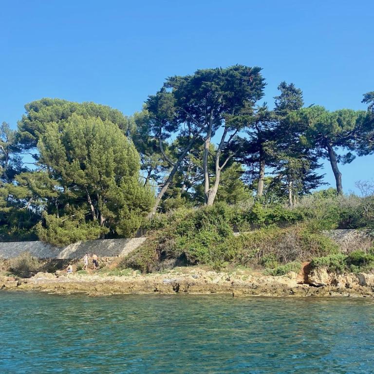 Le contemporain - Golfe Juan - 5 min des plages - 10 min de Cannes! - Appartement 2 Chambres - 31