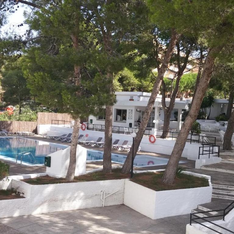 Apartmento en Primera línea de Mar, vistas al Mar y Piscina - Apartamento de 2 dormitorios - 12