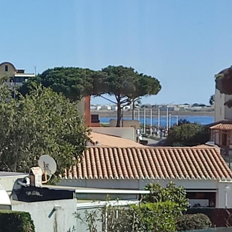 Gruissan - T2 Mezzanine Climatisé - 6 Pers - Parking Proche Plage - FR-1-796-87 - Apartamento - 13