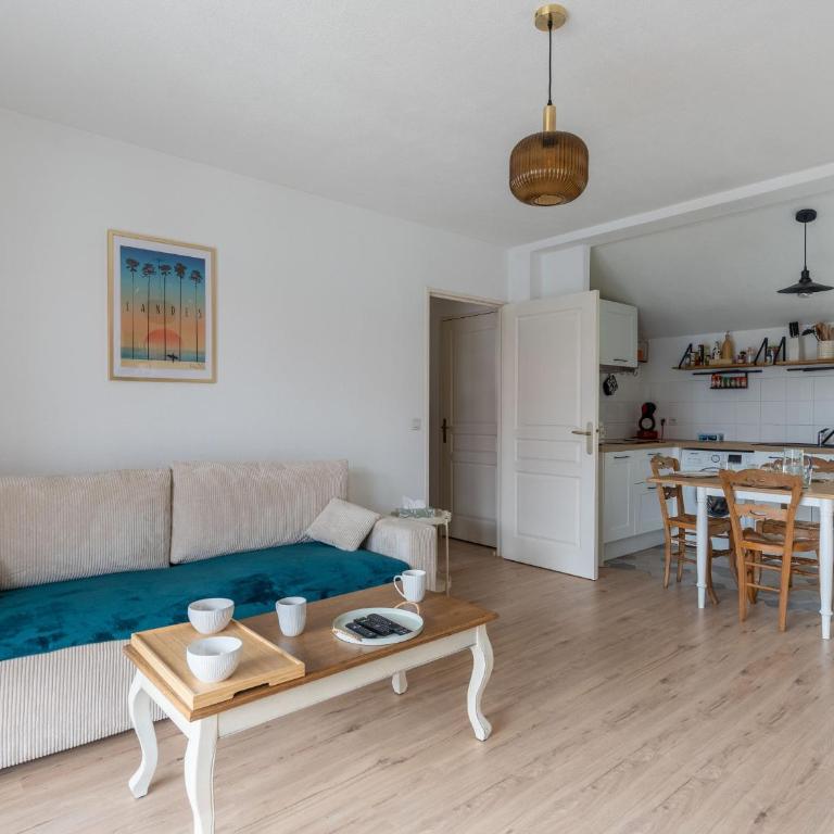 Appartement T2 Confortable avec Parking - Biscarrosse Bourg - FR-1-319-602 - Apartment - 11