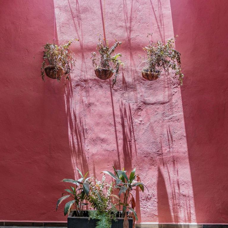 Sam Nah Luxury House in downtown Mérida - Villa Deluxe - 74
