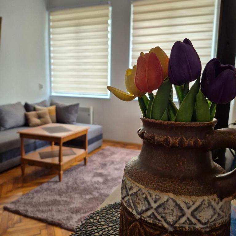 Tulip Apartment - One-Bedroom Apartment - 1