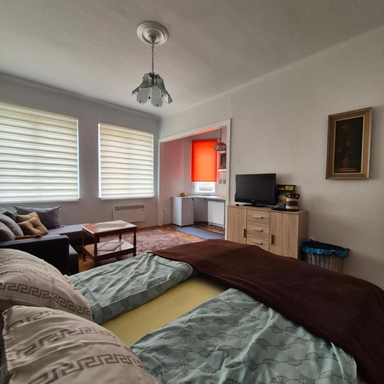 Tulip Apartment - One-Bedroom Apartment - 4