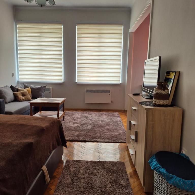 Tulip Apartment - One-Bedroom Apartment - 8