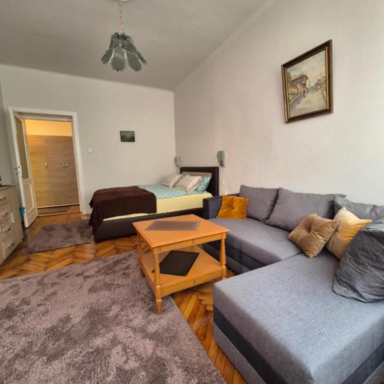 Tulip Apartment - One-Bedroom Apartment - 9